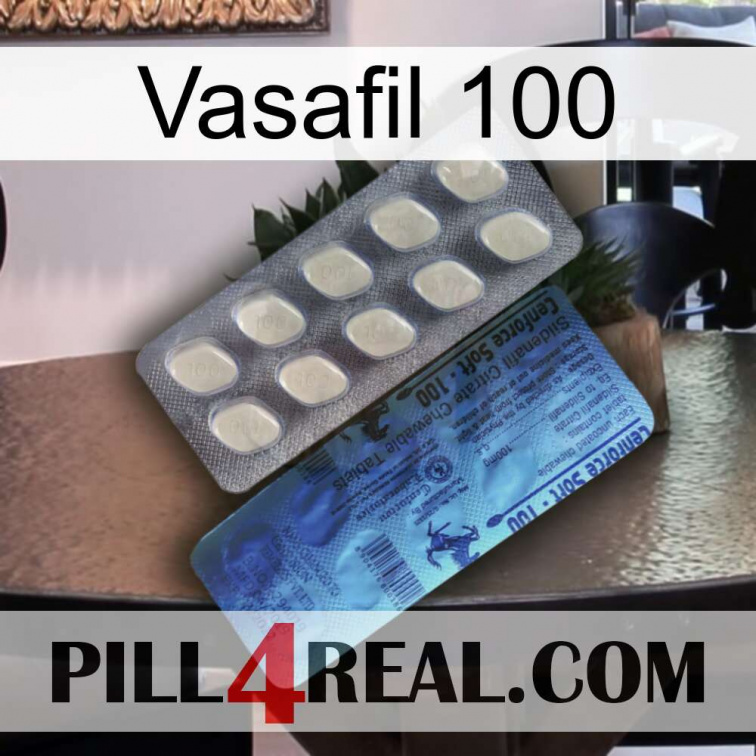 Vasafil 100 34